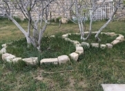 Satılır 15 sot torpaq Albalı