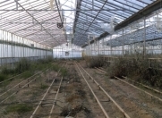 Satılır 300 sot torpaq Zirə