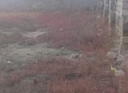 Satılır 2 sot torpaq Kürdəxanı