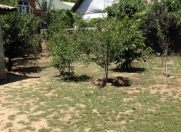 Satılır 6 sot torpaq Lənkəran