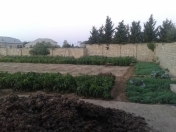 Satılır 21 sot torpaq Albalı