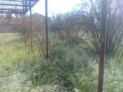 İcarəyə verilir 27 sot torpaq Mərdəkan