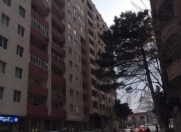 Satılır 3 otaqlı 105 m2 yeni tikili 9 mkr