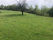 Satılır 40 sot torpaq Quba