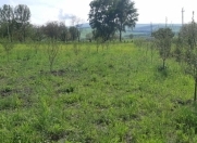 Satılır 250 sot torpaq İsmayıllı