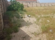 Satılır 6 sot torpaq Ləhic Bağları