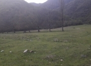 Satılır 6 sot torpaq Qax