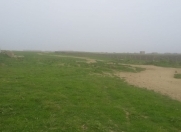 Satılır 100 sot torpaq Məhəmmədli