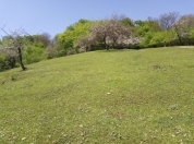 Satılır 25 sot torpaq Quba