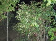 Satılır 3.5 sot torpaq Qobustan