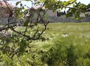 Satılır 12 sot torpaq Bilgəh