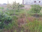 Satılır 10 sot torpaq Hökməli