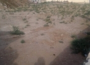 Satılır 20 sot torpaq Xırdalan