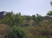 Satılır 16 sot torpaq Buzovna