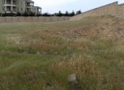 Satılır 39 sot torpaq Novxanı