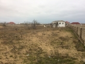 Satılır 50 sot torpaq Ləhic Bağları