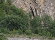 Satılır 10 sot torpaq Qax