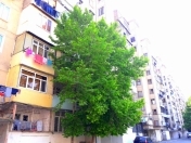 Satılır 5 otaqlı 115 m2 köhnə tikili Əhmədli m.