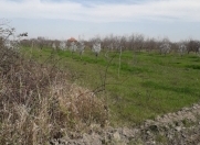 Satılır 48 sot torpaq Quba