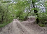 Satılır 50 sot torpaq Quba