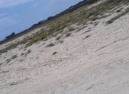 Satılır 600 sot torpaq Novxanı