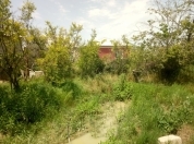 Satılır 4 sot torpaq Ceyranbatan