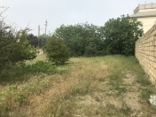 Satılır 6 sot torpaq Novxanı