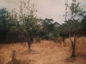 Satılır 30 sot torpaq Şamaxı