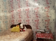 Satılır 2 otaqlı 55 m2 həyət evi Binəqədi