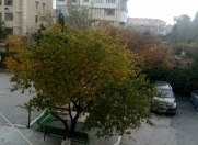 Satılır 3 otaqlı 74 m2 köhnə tikili Buzovna