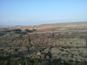 Satılır 500 sot torpaq Perekeşkül