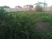 Satılır 6 sot torpaq Aqua Park