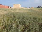 Satılır 3.3 sot torpaq Mehdiabad