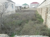 Satılır 8 sot torpaq Zabrat 1