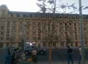 İcarəyə verilir 5 otaqlı 250 m2 yeni tikili Səbail r.