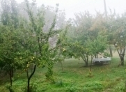 Satılır 12 sot torpaq İsmayıllı