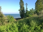 Satılır 19 sot torpaq Lənkəran