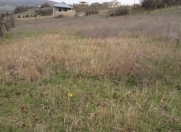 Satılır 12 sot torpaq Şamaxı