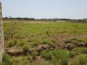 Satılır 12 sot torpaq Fatmayı