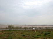 Satılır 12 sot torpaq Koroğlu m.