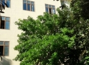 Satılır 3 otaqlı 60 m2 köhnə tikili Gənclik m.