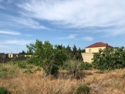 Satılır 6 sot torpaq Albalı