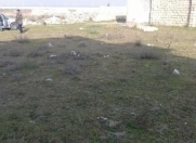 Satılır 7 sot torpaq Sumqayıt