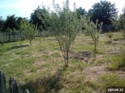 Satılır 6.6 sot torpaq İsmayıllı