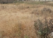 Satılır 5.5 sot torpaq Mehdiabad