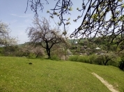 Satılır 25 sot torpaq Quba