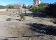 Satılır 10 sot torpaq Bilgəh