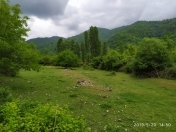 Satılır 21 sot torpaq İsmayıllı