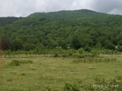 Satılır 10 sot torpaq İsmayıllı