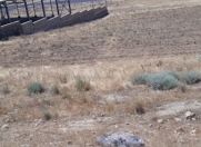 Satılır 82 sot torpaq Saray